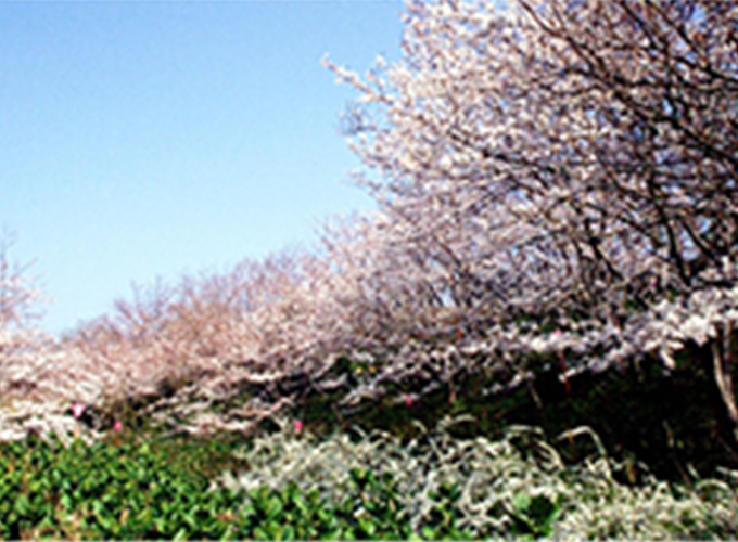 平草原公園