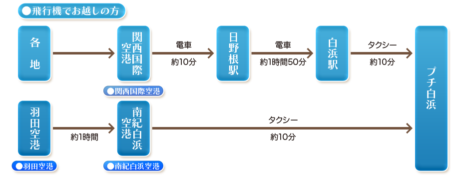 飛行機でお越しの方